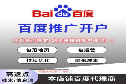某电商平台的SEM广告投放策略及效果评估